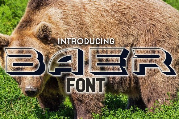 How Baer Font Gives a Small Business Brand Its Bold Personality