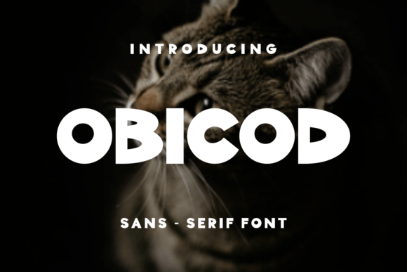 Obicod: A Display Font for Crafting a Unique Brand Identity