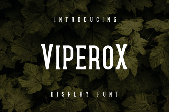 Viperox Font: Adding Unique Style to Digital Projects